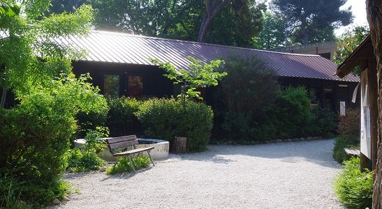 Cerchiamo insegnanti per la scuola dell’infanzia Cerchiamo insegnanti per la scuola dell’infanzia