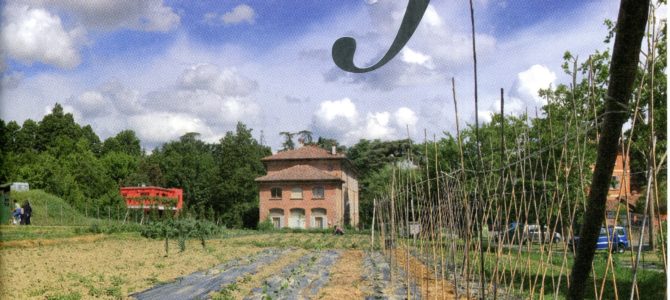 Il CEIS sulla rivista Effeta della Fondazione Gualandi di Bologna Il CEIS sulla rivista Effeta della Fondazione Gualandi di Bologna